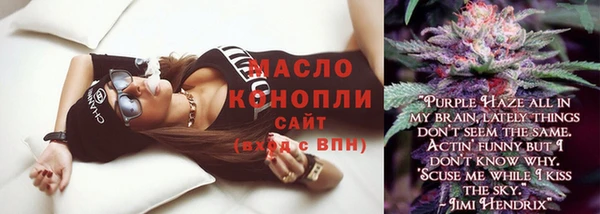 ешки Новодвинск