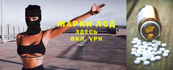 гидра Новозыбков