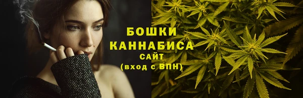 ешки Новодвинск