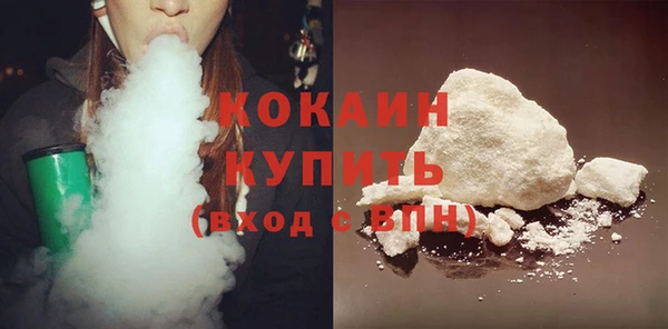 гидра Новозыбков