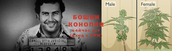 ешки Новодвинск