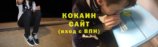 гидра Новозыбков