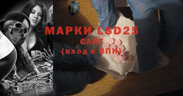 гидра Новозыбков