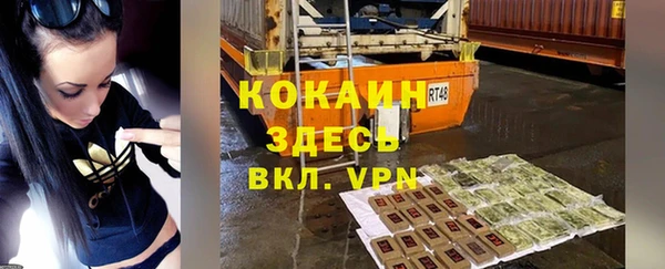 ешки Новодвинск