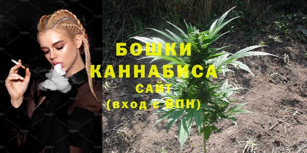 ешки Новодвинск