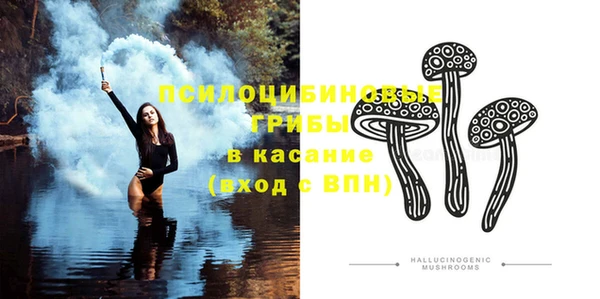 гидра Новозыбков