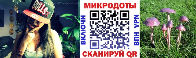 магазин продажи наркотиков  blacksprut сайт  Псилоцибиновые грибы мухоморы  Приозерск 